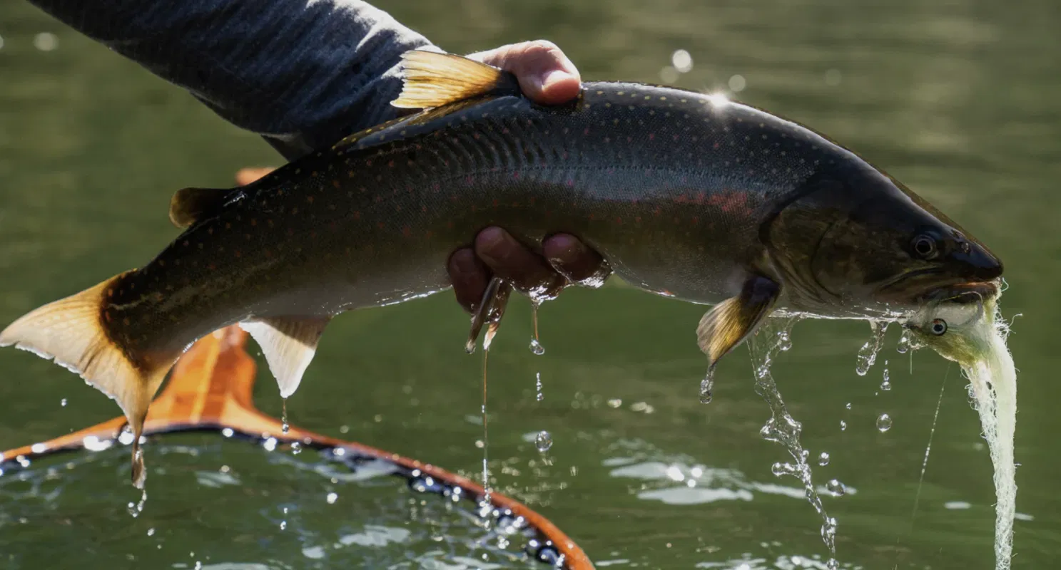FF Lake Billy Chinook Trip Full Day